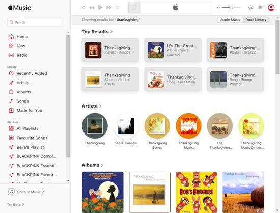 apple music 網路播放器主介面