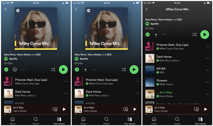 spotify 行動離線下載