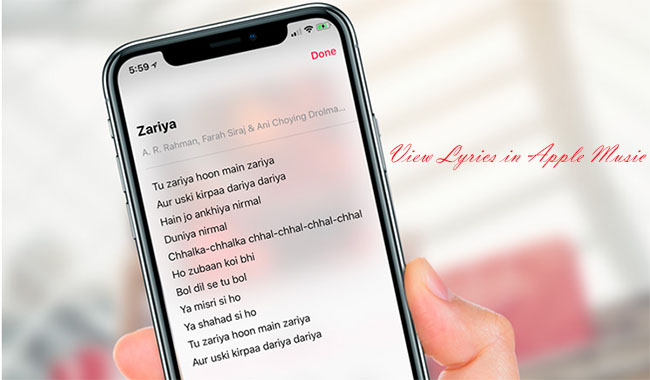在 apple music 中查看歌詞